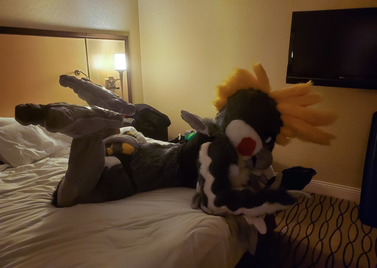 ADKaliIrwing's tweet photo. Sexy fursuit boudoir part three
#adfursuirboudoir https://t.co/SELnomFgII