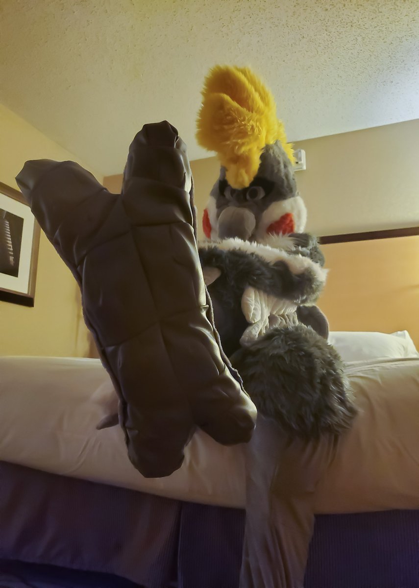 ADKaliIrwing's tweet photo. Sexy fursuit boudoir part three
#adfursuirboudoir https://t.co/SELnomFgII
