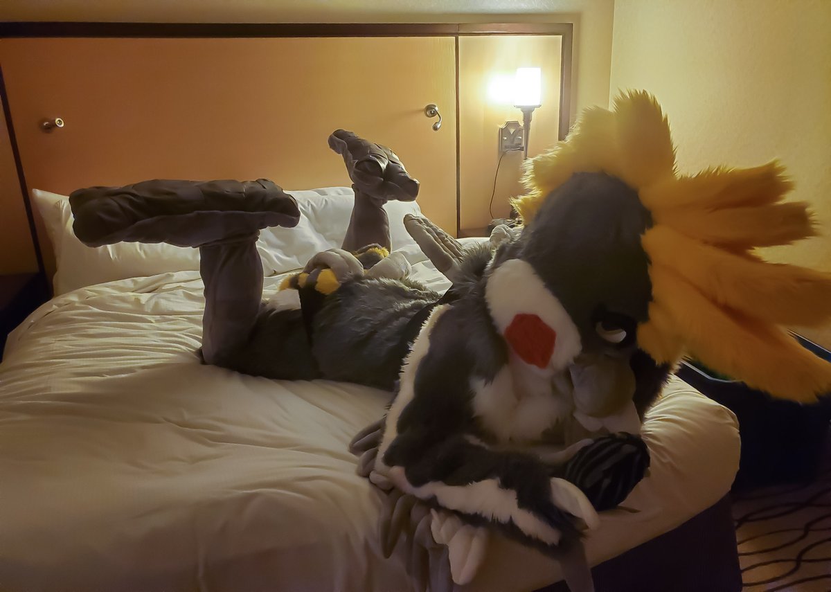 ADKaliIrwing's tweet photo. Sexy fursuit boudoir part three
#adfursuirboudoir https://t.co/SELnomFgII
