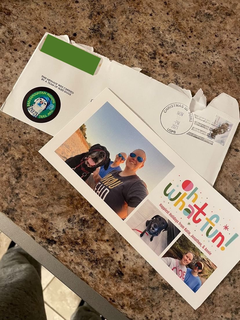 drktsciencelady's tweet photo. @BlairBraverman @QuinceMountain Thank you so much for adding some extra holiday magic to our cards. I’ve heard from several friends who were extra excited about the sticker, stamp, &amp; postmark. https://t.co/9ypA7N9y9q