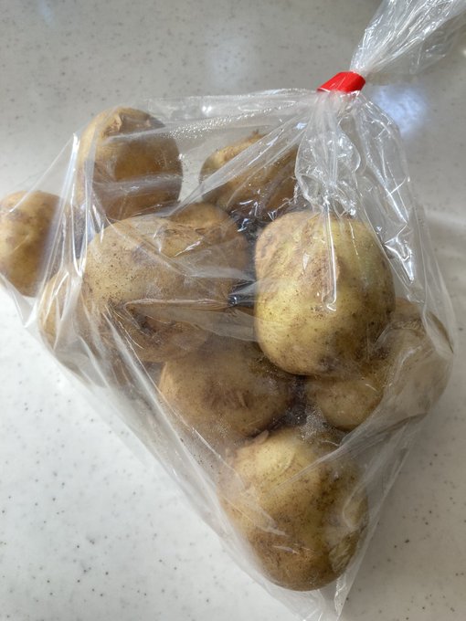 次はこいつをホイル焼き! 