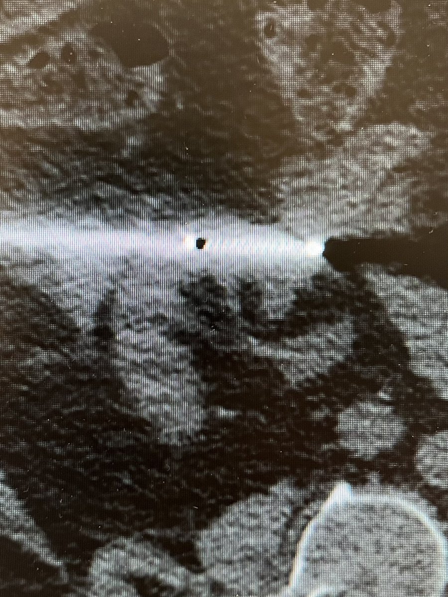 Brian Park MD, MS, CIIP tweet media