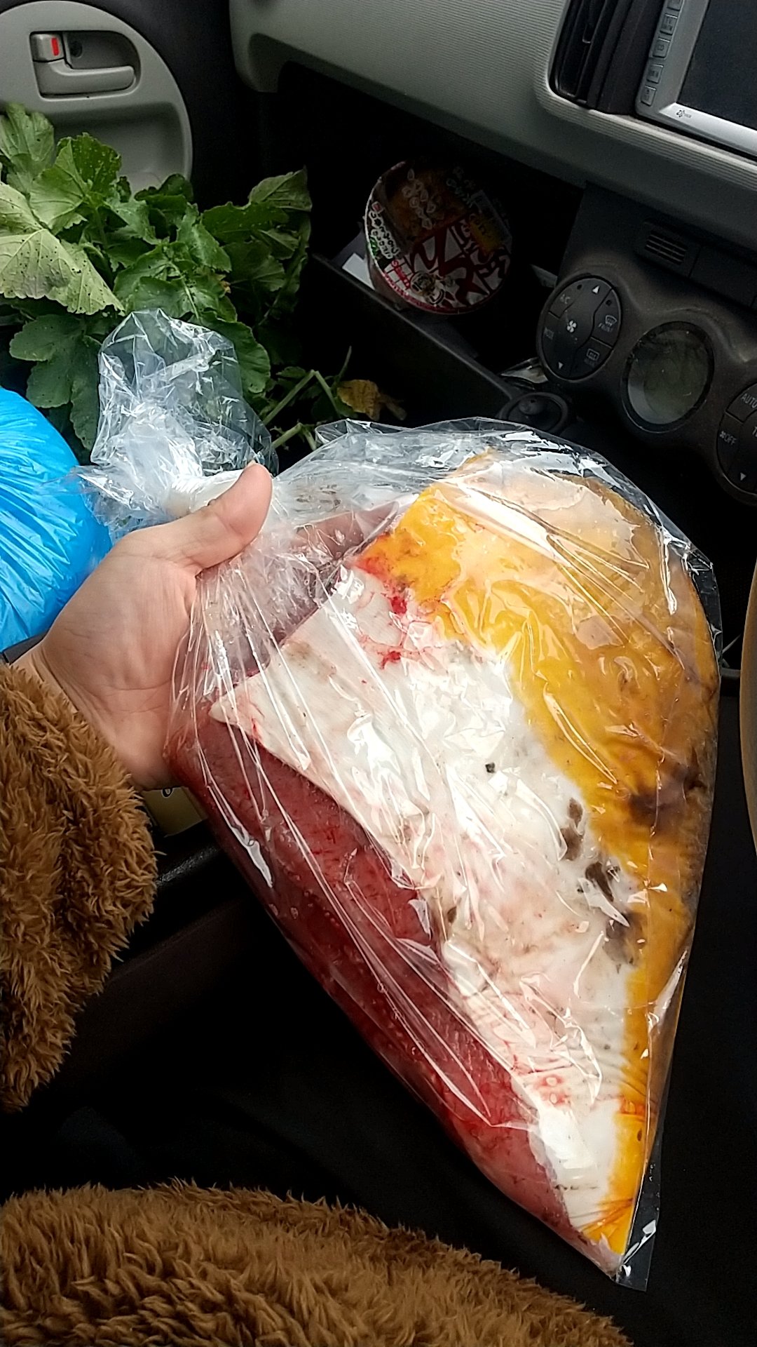 ポッター本田 煮付けにします ヒレはエイヒレに T Co Paqyv6gsxp Twitter