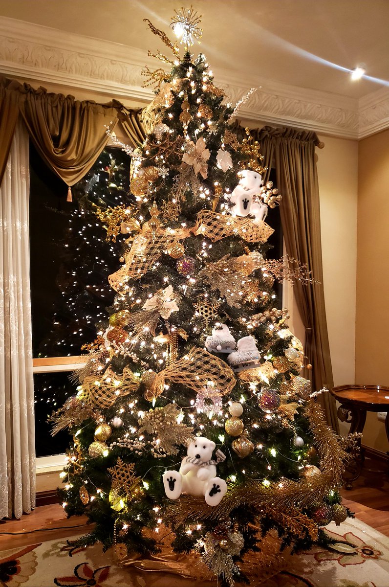 GNisel's tweet image. Final result