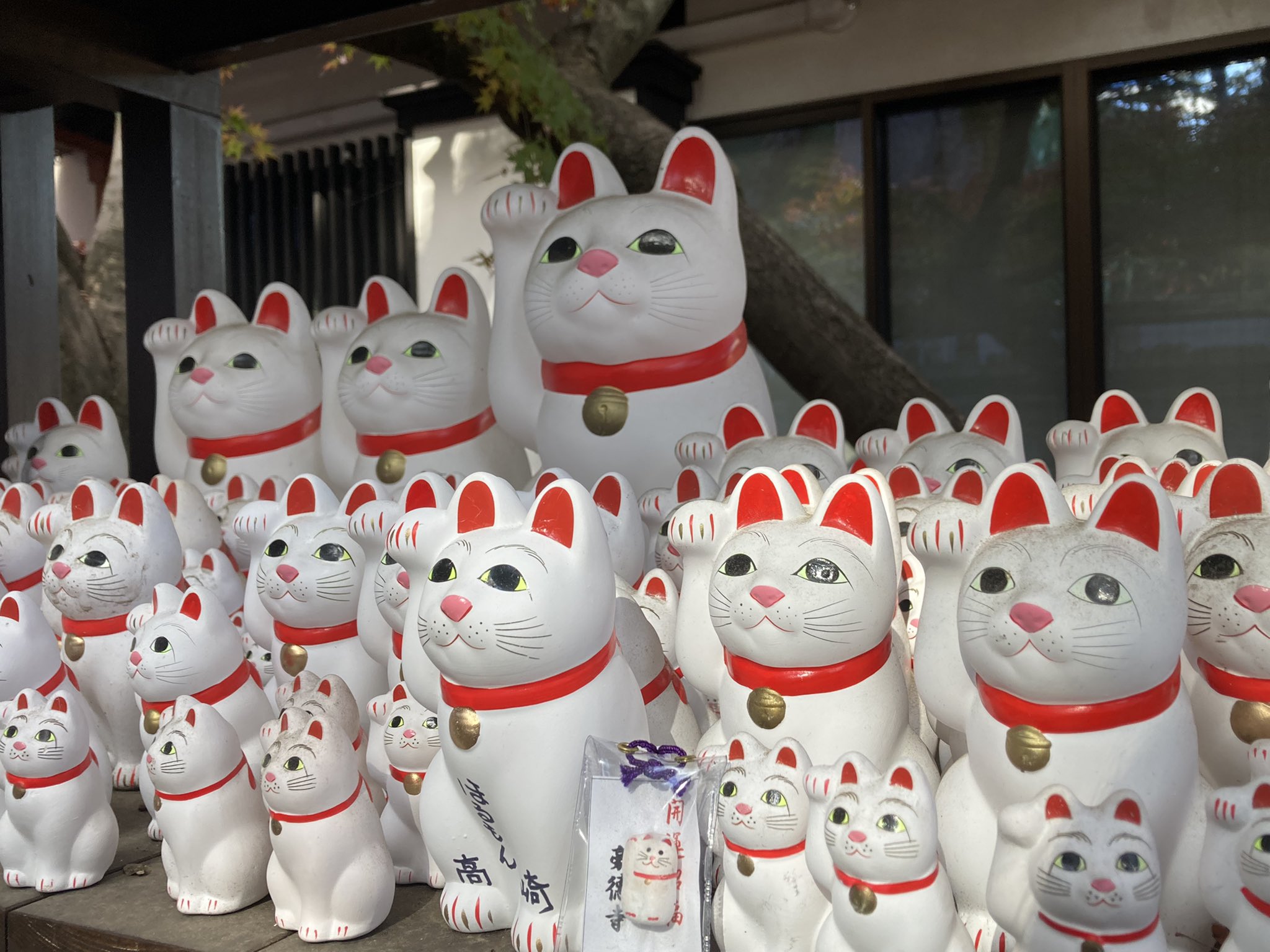 絶景 日本 先週に続き 小田急線 のイベント キラたび で 豪徳寺 に寄ってきました 紅葉 も終わりかけで招き猫の 奉納所が工事中で分散されていて少し寂しかったかな 紅葉 招き猫 T Co Xyeis2rzsc Twitter