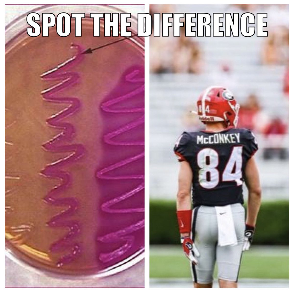 My sister said this couldn’t be on my <a href="/CollegeGameDay/">College GameDay</a> poster. I figured #IDtwitter would appreciate it though! Go Dawgs!