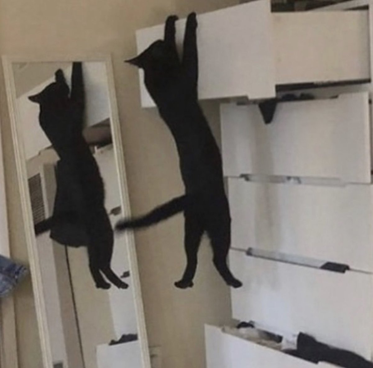 contextpets's tweet image. Help