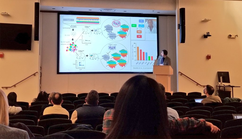 KayleeSteen7's tweet photo. Two days of awesome presentations and brainstorming to tackle glioma with technological innovations at the #BIBC challenge event. Thanks so much to all the speakers, our amazing keynote @adam_sonabend and everyone who participated!! 🤞for new collaborations! https://t.co/IqfhBG9Qle