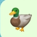 goia_dragos's tweet image. #FotografieDeProfilNouă