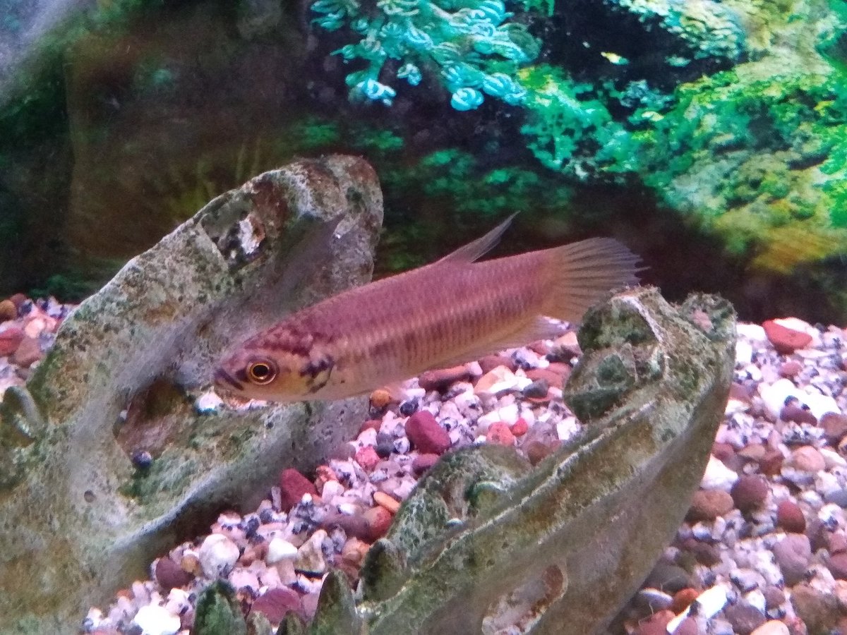 Milton Tan tweet media