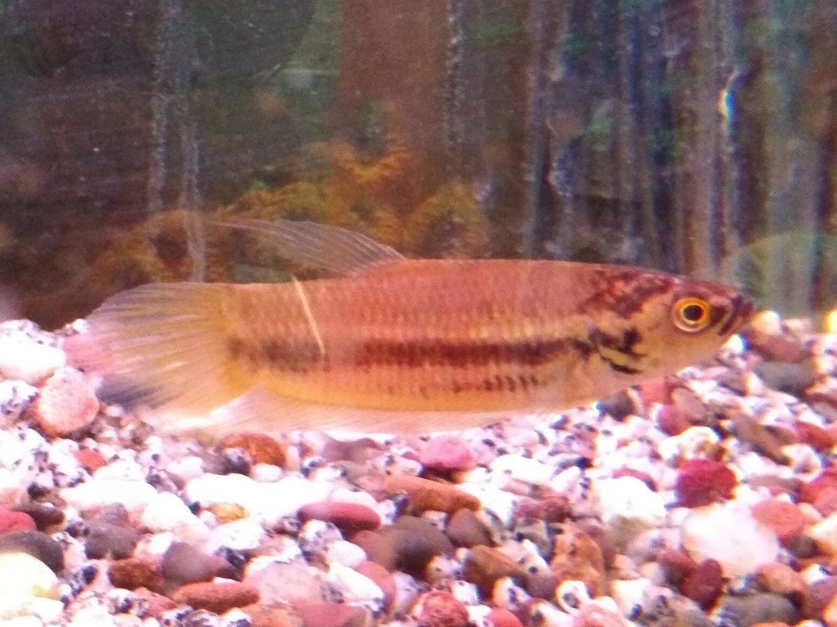 Milton Tan tweet media