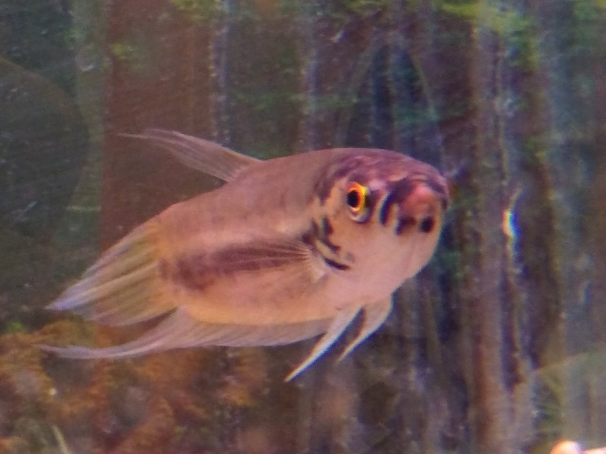 Milton Tan tweet media