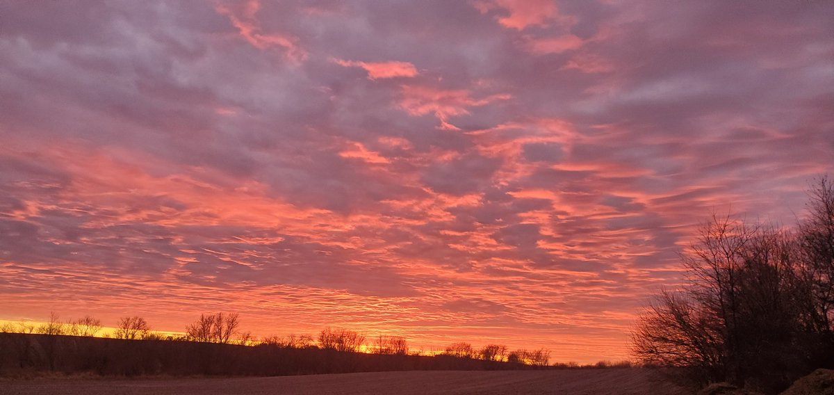DavidLQuiram's tweet photo. @CoreyT_WX @Joe_Winters @janryherdwx @Kaj_OMara @KCRG_FirstAlert #EastHolbrook #IowaCounty https://t.co/V3QtHi4Ar3