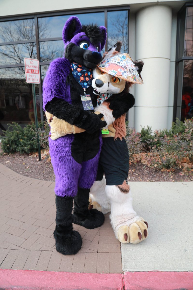 Alysterwolf tweet media