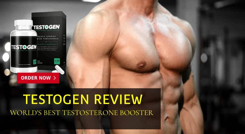 Testogen41's tweet image. 