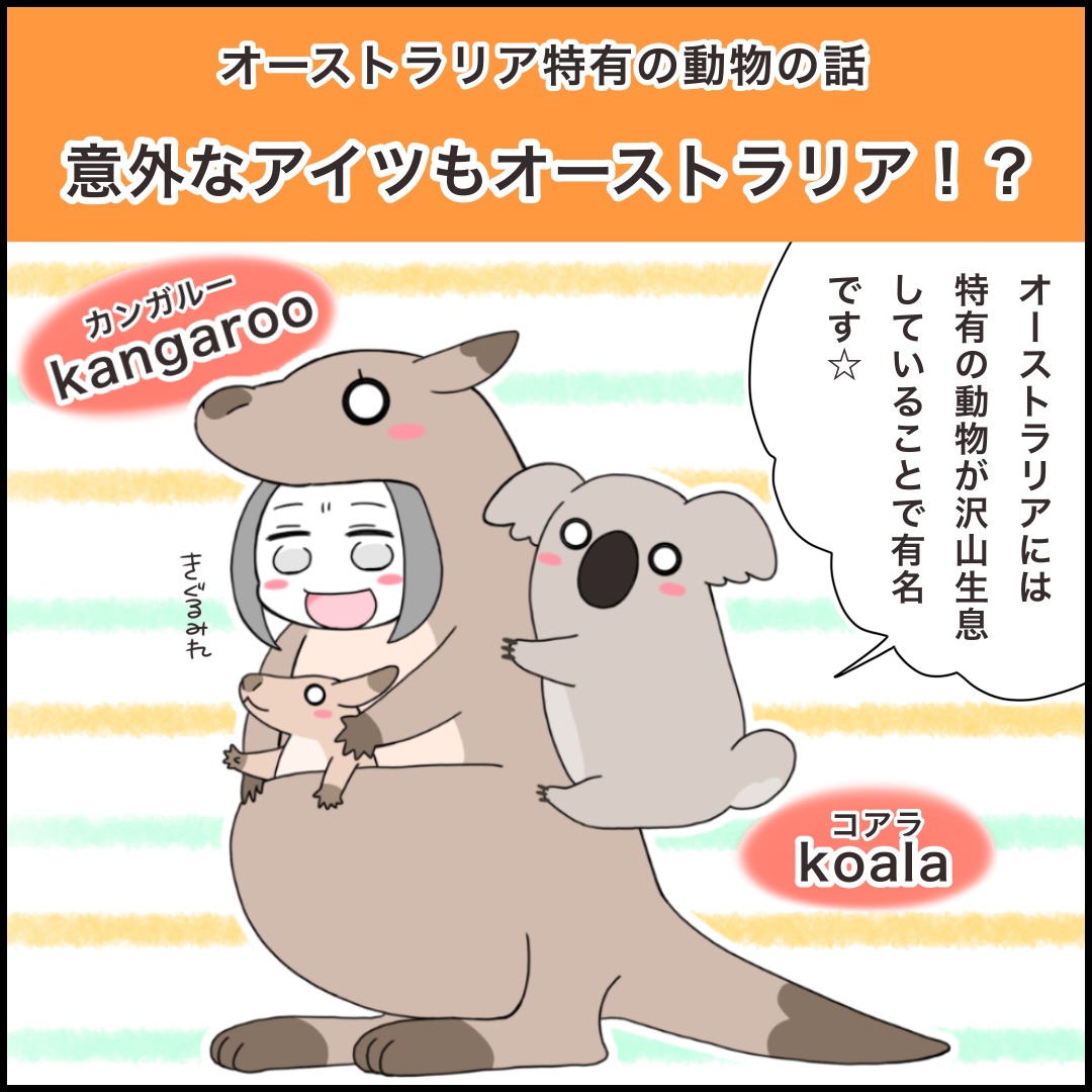 コアラやカンガルー🐨🦘
以外にも実は沢山いるよ!
オーストラリアな動物たち🇦🇺✨
(1/2)

#コルクラボマンガ専科 
#オーストラリア 