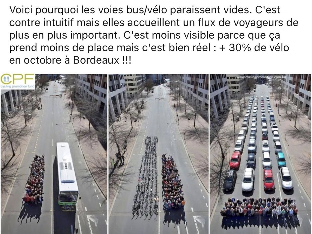 michael silly tweet media