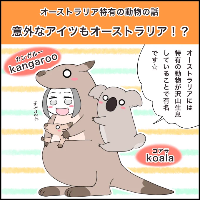 今日はTwitterにオーストラリアの動物たちなマンガをお昼頃更新しますね〜#コルクラボマンガ専科 