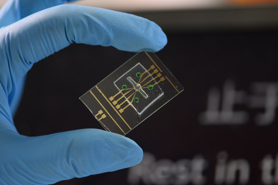 margaretsiegien's tweet photo. Chinese researchers were able to store text information contained in #DNA sequences on an electrode and retrieved it accurately 
@MargaretSiegien @Analytics_699 @PawlowskiMario @alvinfoo 
#HealthTech #HelathIT #biology #Healthcare #tech #technology 
https://t.co/myn4nLRlZ2 https://t.co/rNmE4hMOqw