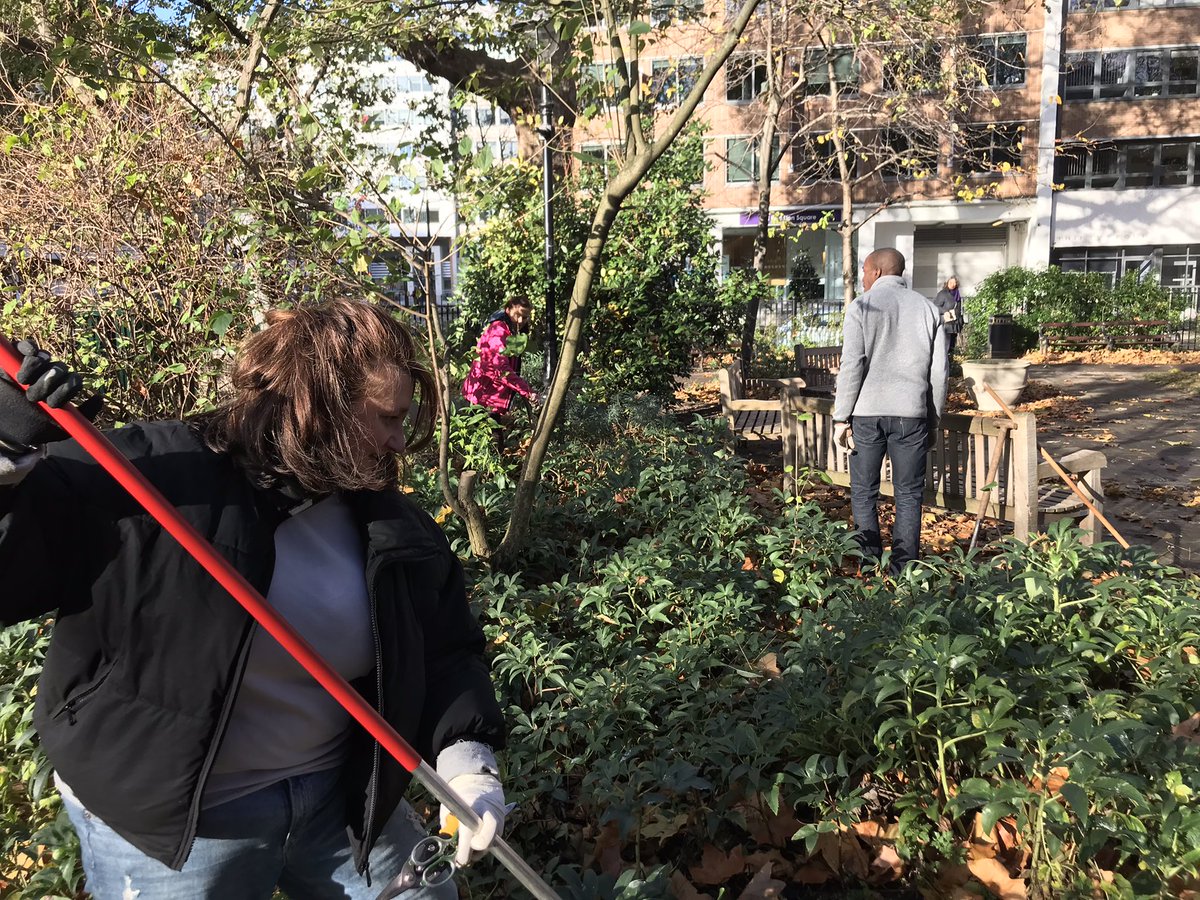 RedLionSquare's tweet photo. Thanks to all those that volunteered today. Great to get some exercise in the fresh air &amp; sun with your neighbours! https://t.co/1EqMdw3ynR