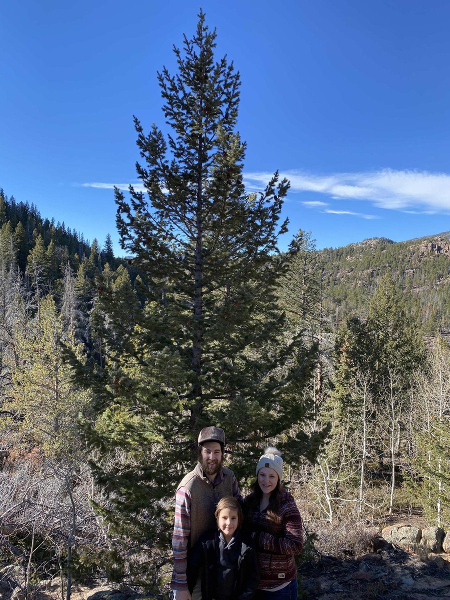 UghtonGaming's tweet image. Today was #treeday for the Ughton Family! We went out into the #NationalForrest to claim our #christmas tree! We went a little ham this year at 10’ 5”, #tomorrow we #decorate!

Do you prefer a #realtree or #faketree?