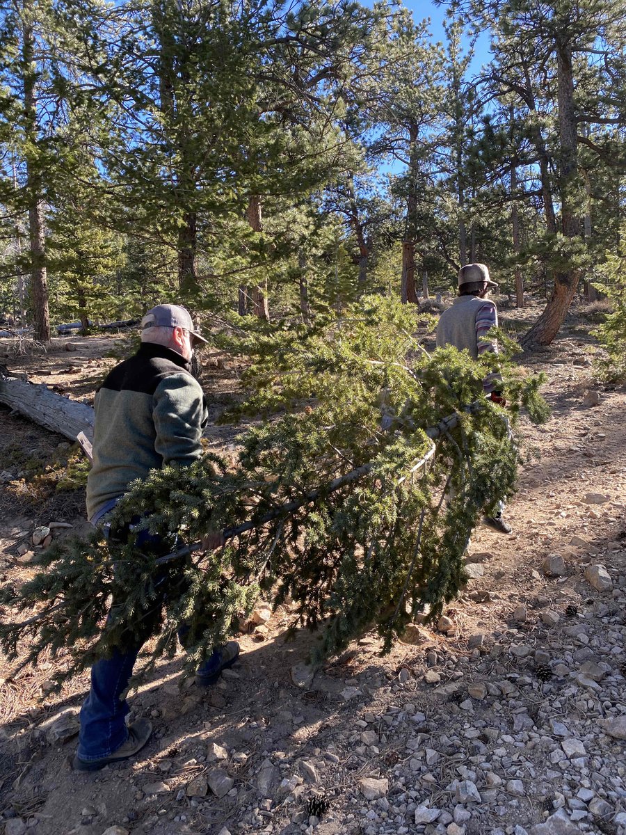 UghtonGaming's tweet image. Today was #treeday for the Ughton Family! We went out into the #NationalForrest to claim our #christmas tree! We went a little ham this year at 10’ 5”, #tomorrow we #decorate!

Do you prefer a #realtree or #faketree?