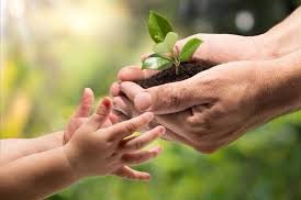 Can you think of any ideas for mini “Eco-missions”, that can be done at home, in the garden or local community 
These Eco-missions need to either teach our children something about sustainability, wildlife, nature &amp;/or help improve in these areas?    
Comment ideas 👇 #wioh