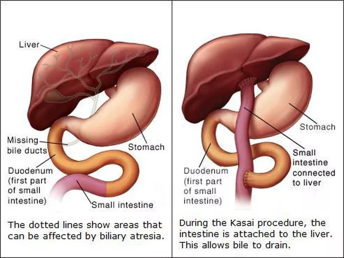 Legends Of Surgery tweet media
