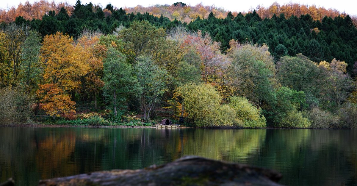 💥💥💥💥💥🇬🇧