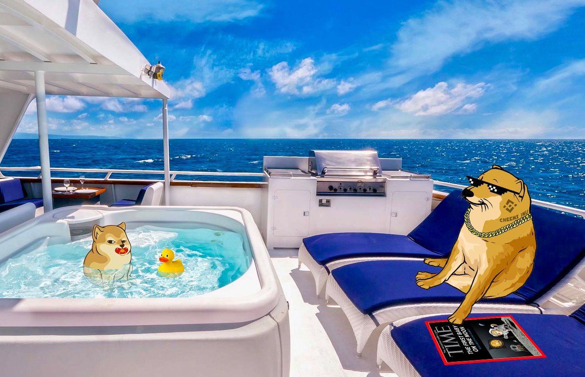 billions_crypto's tweet photo. Meanwhile aboard the Cheems yacht. @babycheemsinu @CheemsInu #CheemsFamily #BabyCheemsInu #BabyCheems #CheemsInu https://t.co/ZUmCtvWg7v