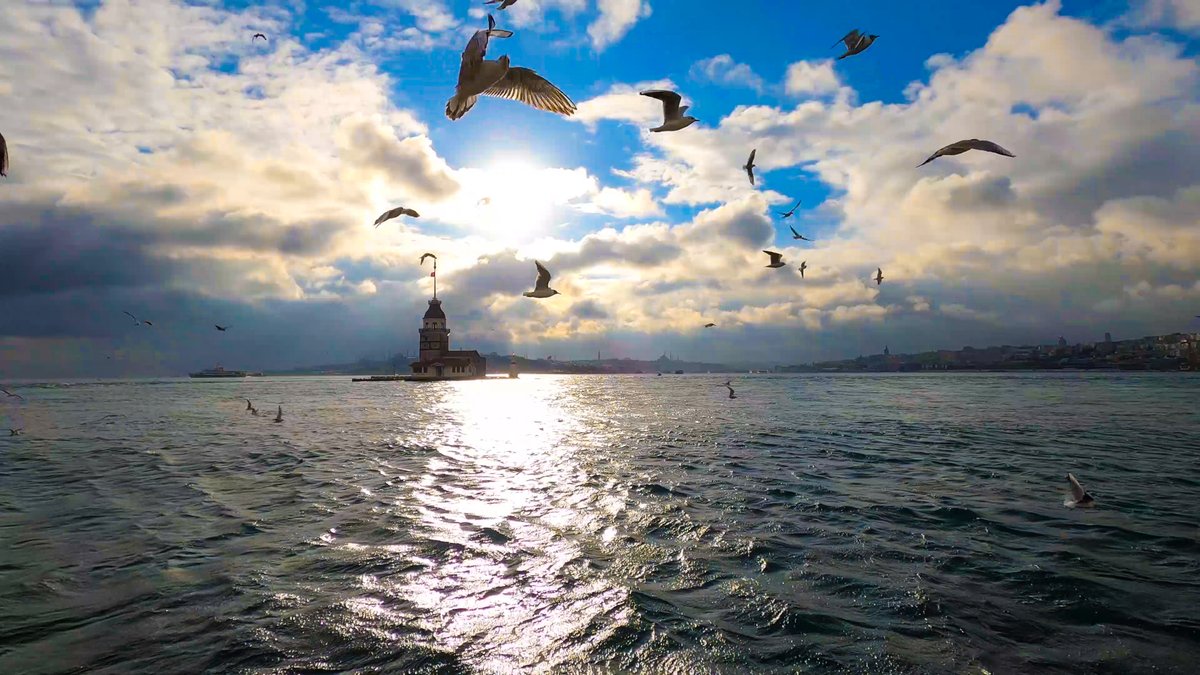 eastbuster's tweet photo. Seaside breeze
#İstanbul #photography https://t.co/EwrYi6qpIP