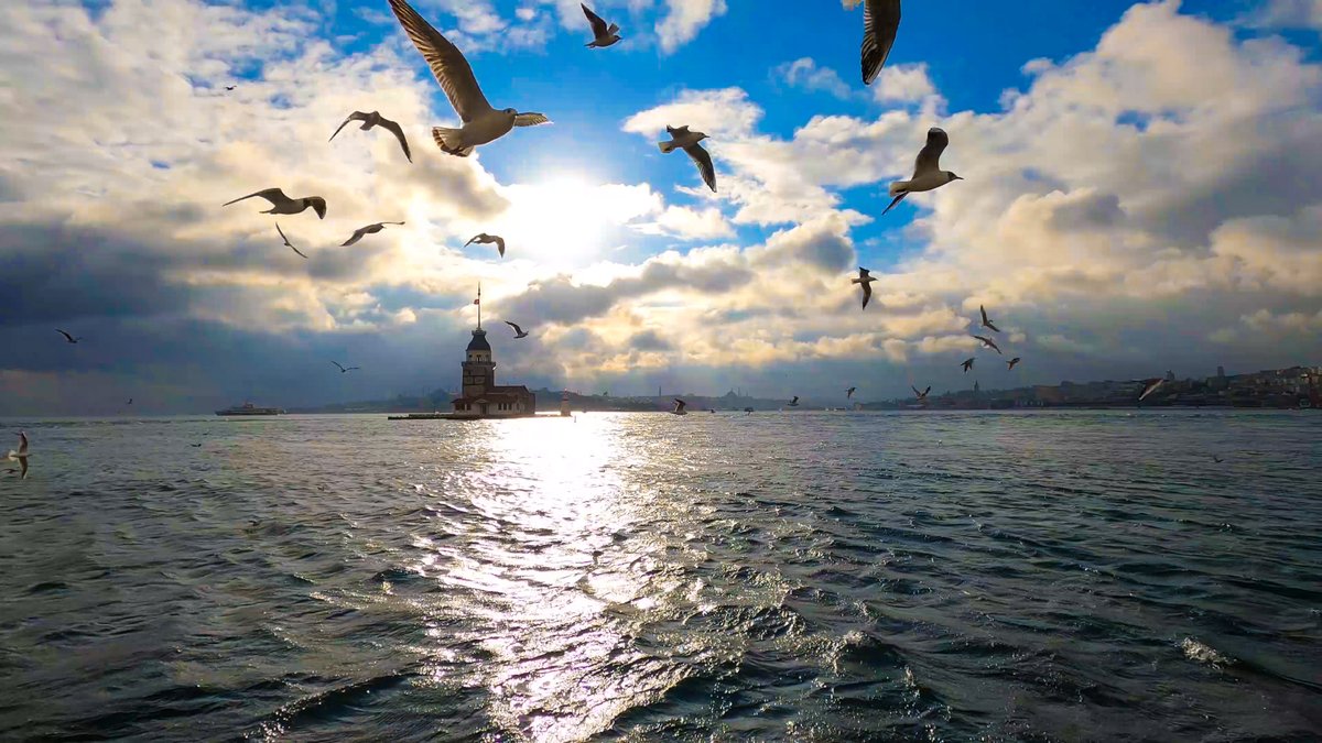 eastbuster's tweet photo. Seaside breeze
#İstanbul #photography https://t.co/EwrYi6qpIP