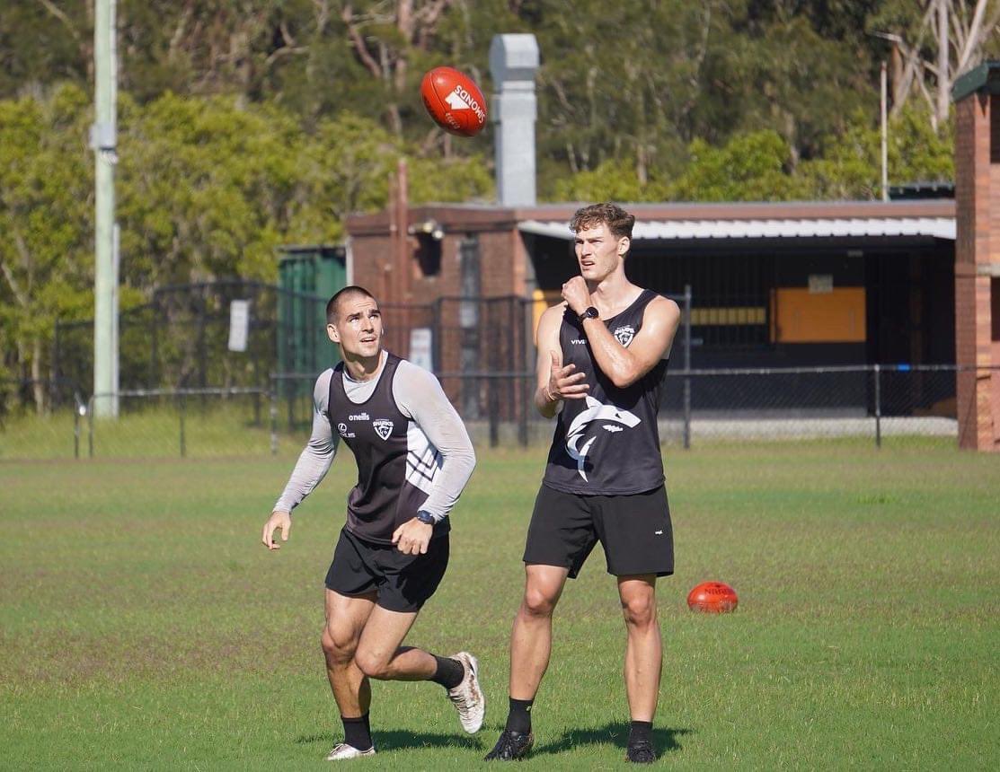 Southport Sharks AFL tweet media