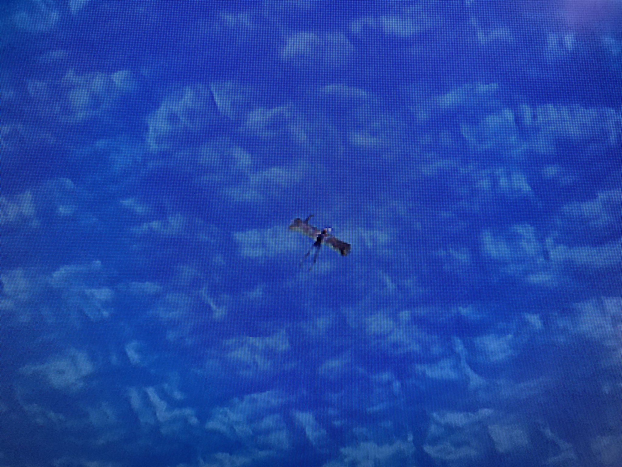 Twitter 上的 のこしめ フォートナイト起動したら海の上で誰か浮いてるし 何押しても動かない Fortnite スイッチ勢 不具合報告 T Co 3uj1kgp3wq Twitter Twitter 上的 のこしめ フォートナイト起動したら海の上で誰か浮いてるし 何押しても動かない Fortnite スイッチ勢 不具合報告 T Co 3uj1kgp3wq Twitter