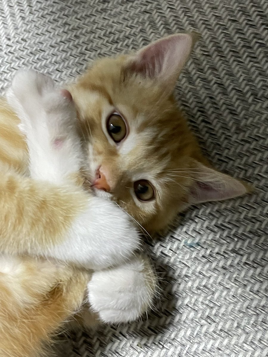 dongggeul's tweet photo. 은은한 광기.. https://t.co/vDQNyhpJ9t
