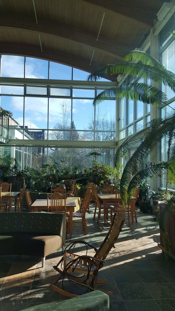 griz1's tweet photo. Had a great visit to @oberlincollege @OberlinCon a few weeks ago! Love the #fallfoliage, sustainable #AJLC building, #ProfessorBeersSoda & #OberlinMural! @cityofoberlin @oberlin @OhioHistory @OhioTravel @thefluffa @FoliageReport @FoliageNetwork https://t.co/lzAt83VECz