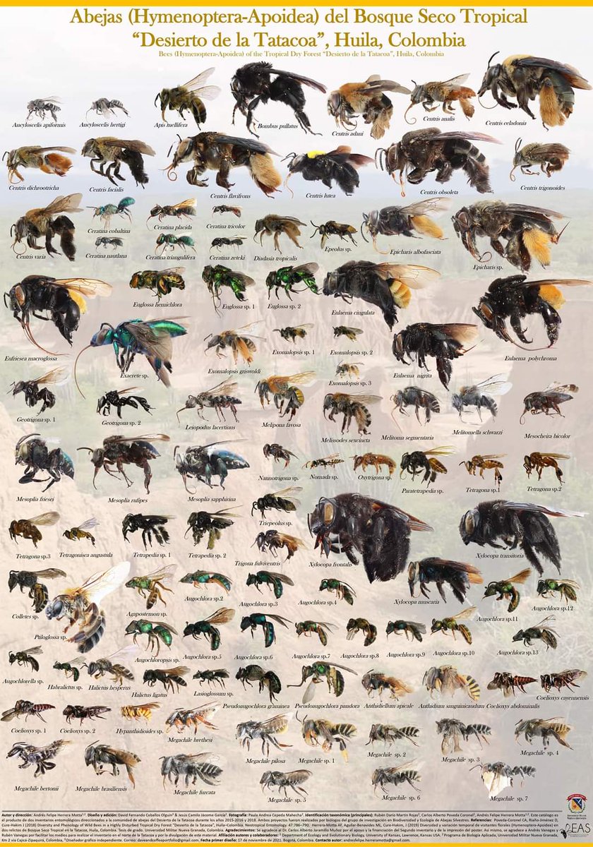 Sara Rodante 🍉 tweet media