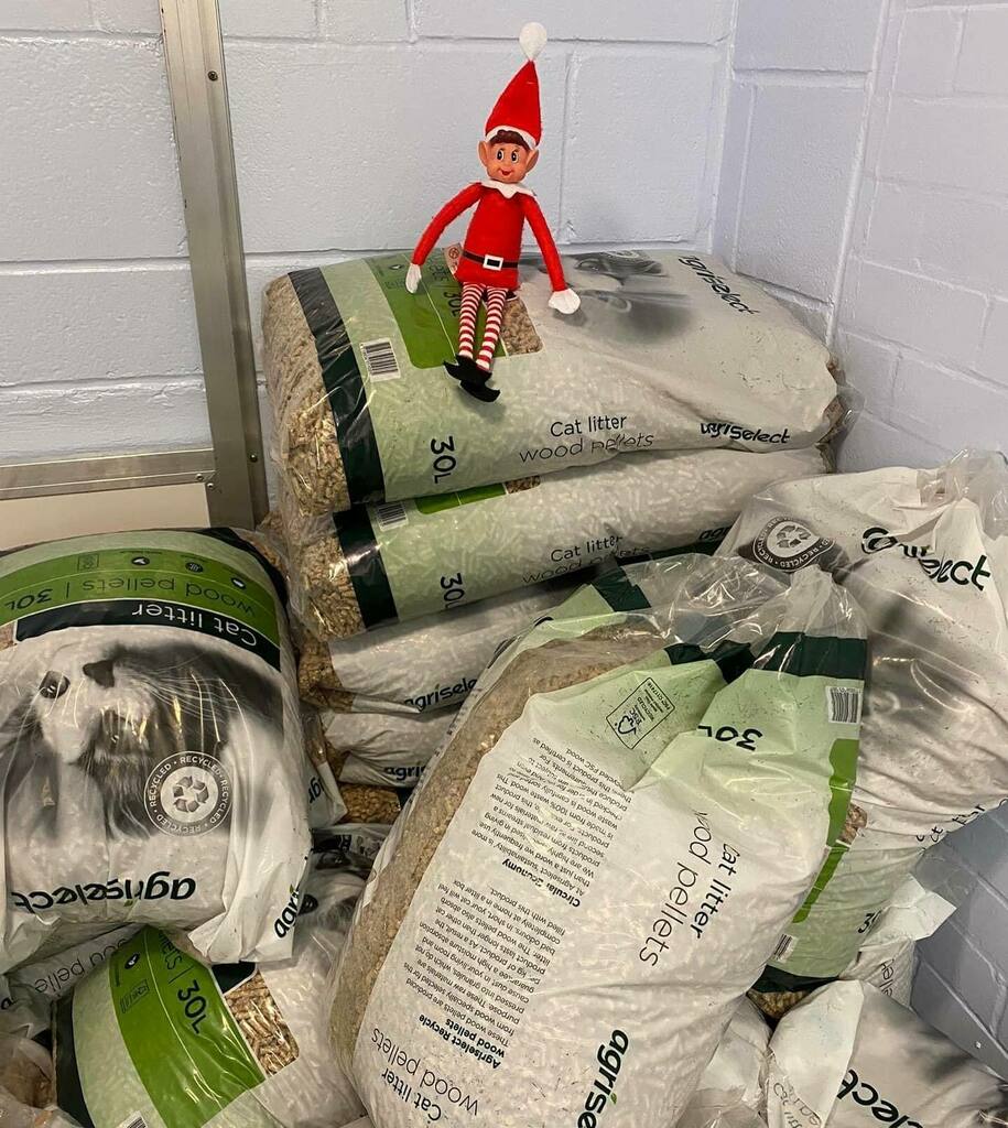 RSPCAburyandold's tweet photo. Mince has been a very good boy again! He helped the staff with a large cat litter delivery 🚚📦 #elfontheshelf #mincetheelf #naughtyelf #niceelf #goodelf https://t.co/eOKbE4bUu1