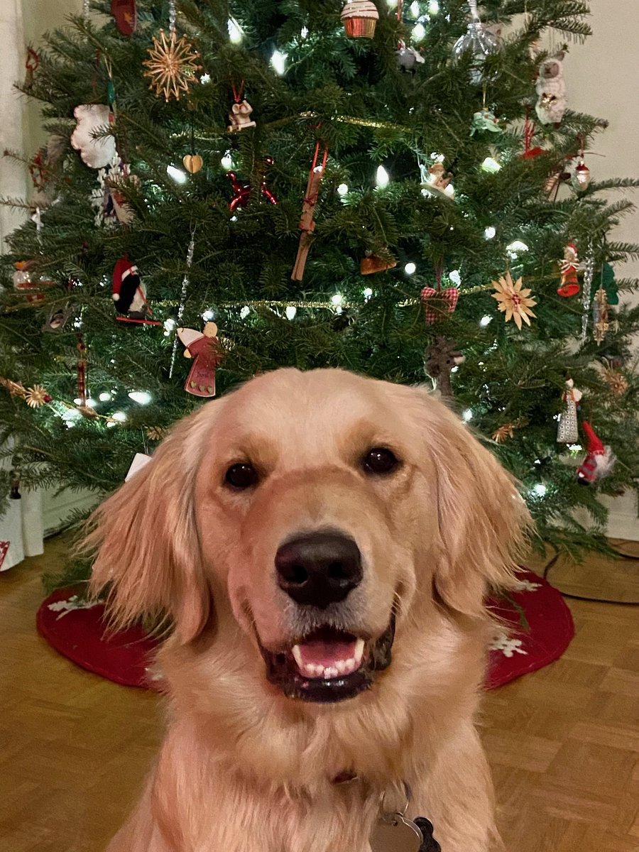 Emily Christoffersen tweet media