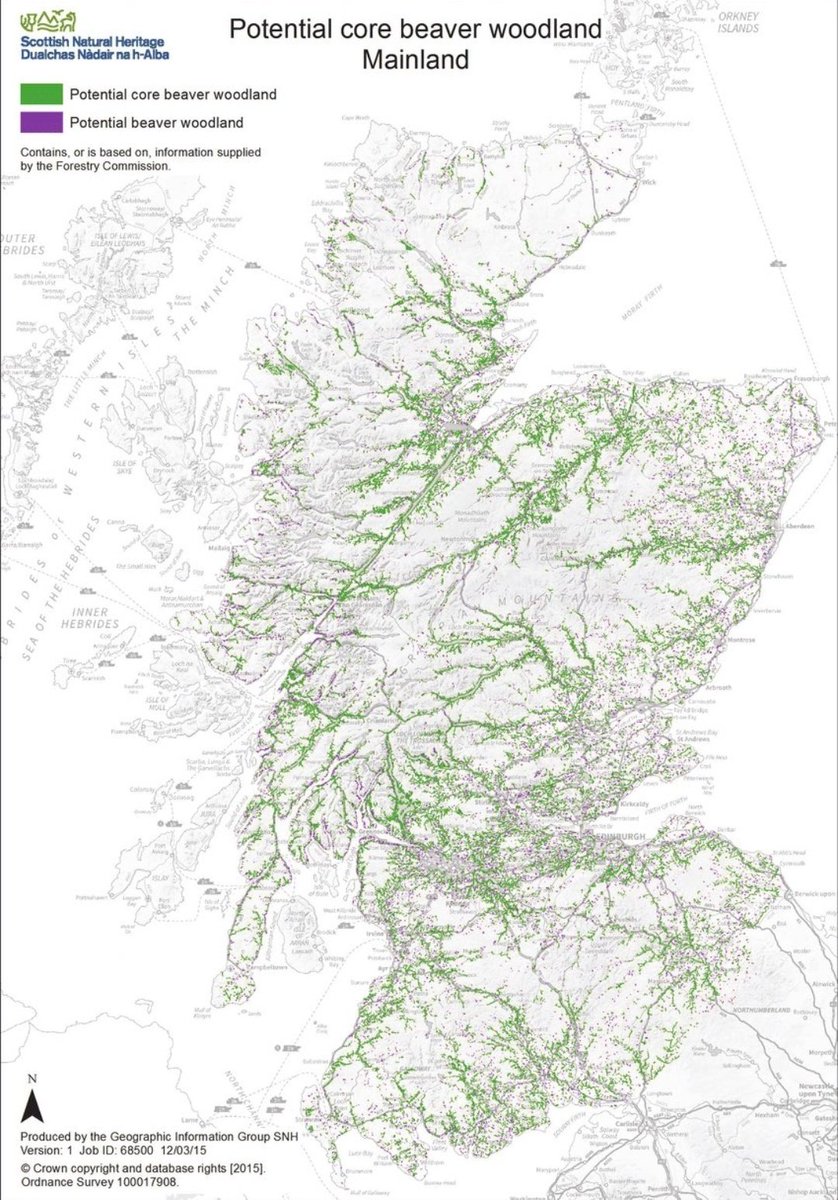 ASPaton's tweet photo. One translocation isn't a transformation @scotgov @lornaslater #biodiversity https://t.co/Z0DBXnCNDG