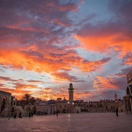 MemoHamada16's tweet photo. In case you haven't seen anything beautiful today!🤍

Pictures of the sunset from Al-Aqsa Mosque courtyards this evening.#Act4Palestine https://t.co/BCJNdFdeyf
