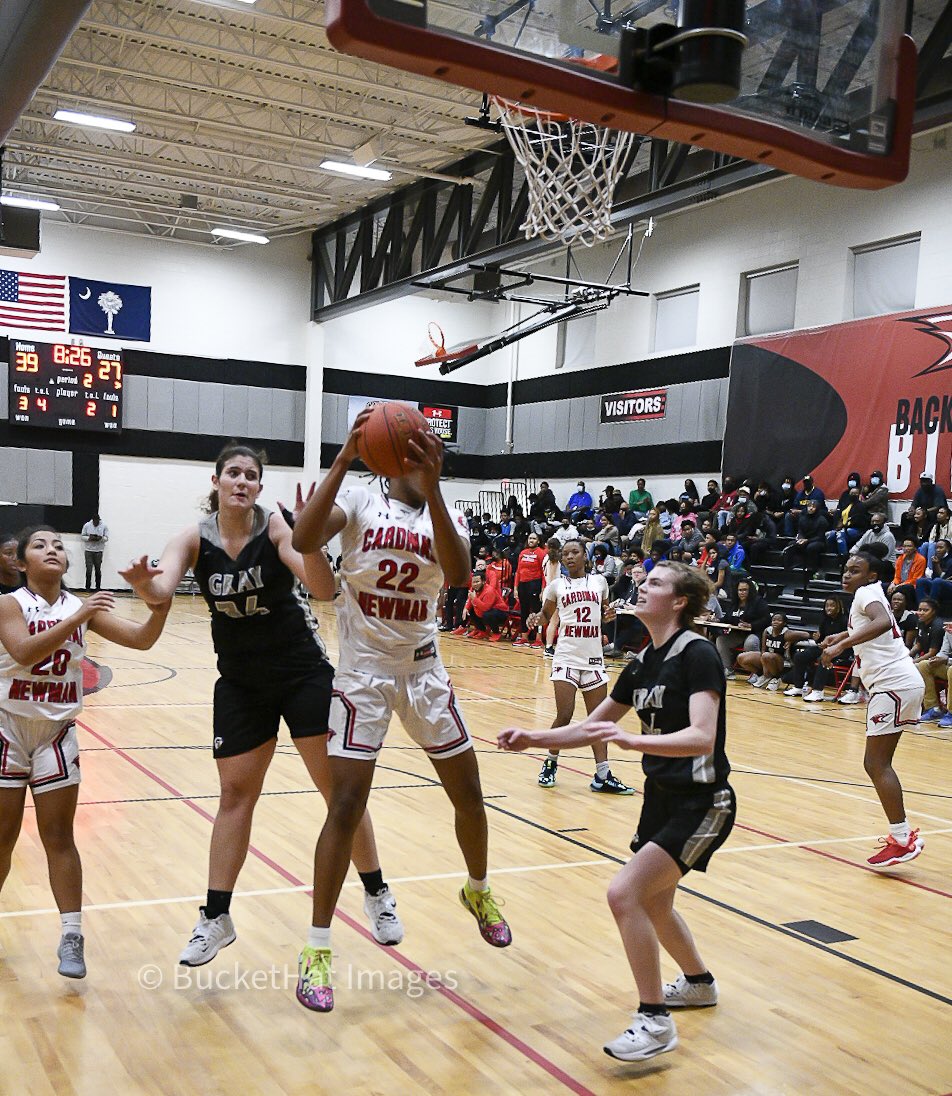 BucketHatImages tweet media