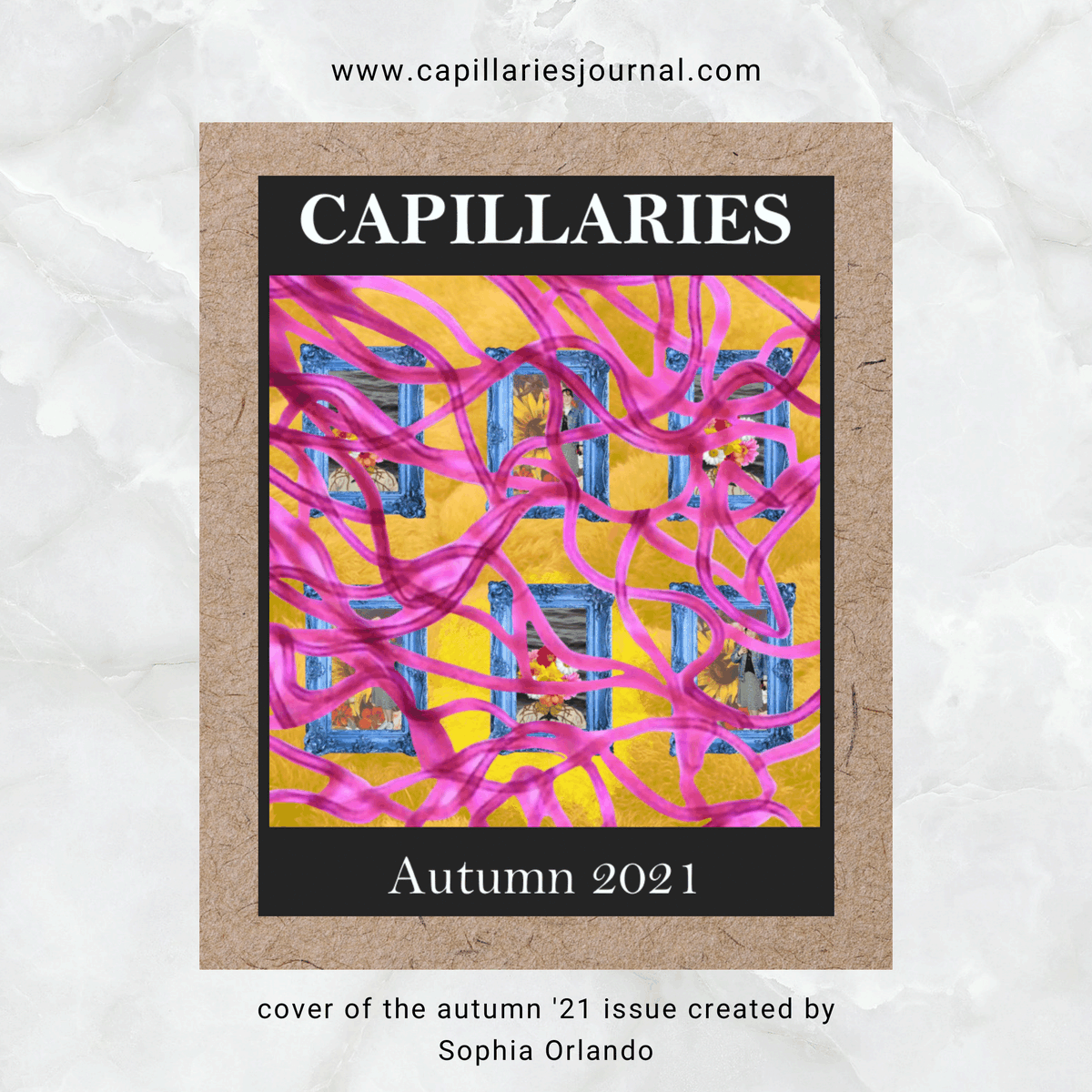 capillariesuw's tweet photo. We are so excited to announce that our autumn 2021 issue of the Capillaries Journal is now live on our website  (link in bio)!! Check out all the fantastic pieces that were submitted this quarter, and a huge thanks to all the contributors for making this issue possible! https://t.co/3n0iXZ3ZXA