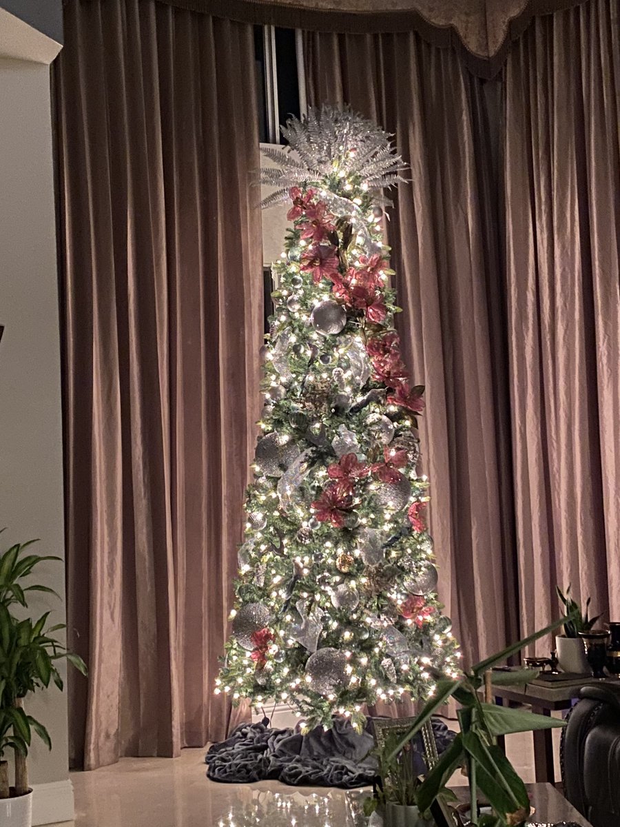 womenonthemove1's tweet photo. It’s beginning to look like Christmas!!! #Tree1 https://t.co/Fe6aou60dI