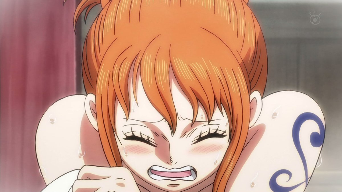 ワンピースアニメ感想1002話 うるティとページワンのアニオリシーンが可愛すぎる あにこぱす