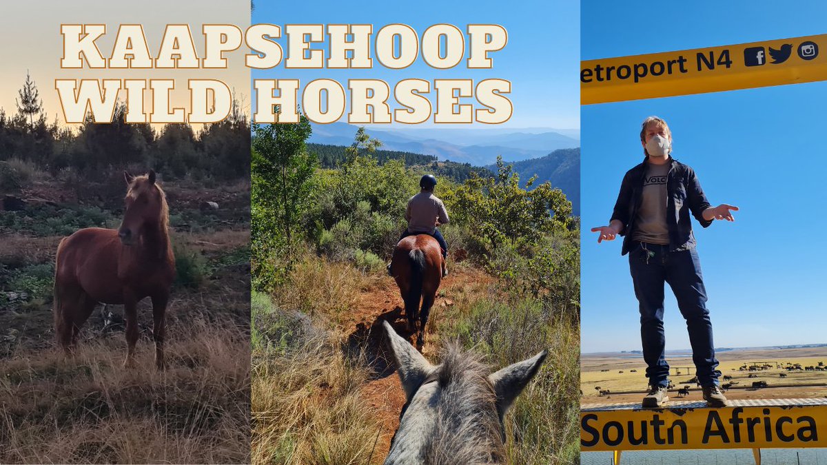 MyskasWorld's tweet photo. Hey Gloomies! Check out this new video https://t.co/31F9LPunKu which will be live this Monday at 9pm CET!
Don't forget to hit that like and subscribe for weekly content on horses, travelling, equine lifestyle and more!
#equineblogger #southafrica #horsevlogs #equestrian #travel https://t.co/Sdh4zqSgEu