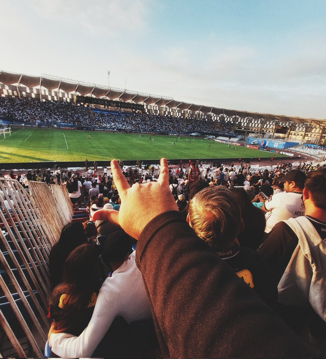 Jota_Rojo tweet media