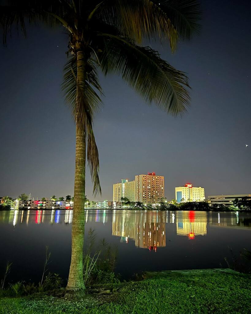 The_ComputerWiz's tweet photo. #palmtrees #reflection https://t.co/VCQPvhwUUj https://t.co/4JjEZubyHP