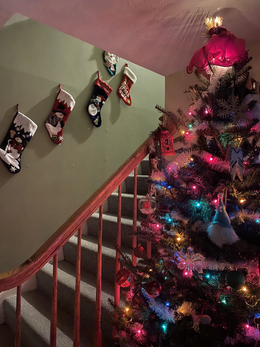 Hutch_Kimberly's tweet photo. Got our Christmas tree from Lowes today!! Starting to feel a lot like Christmas time! 🥰🥰🥰 https://t.co/5yQMzzQoqv