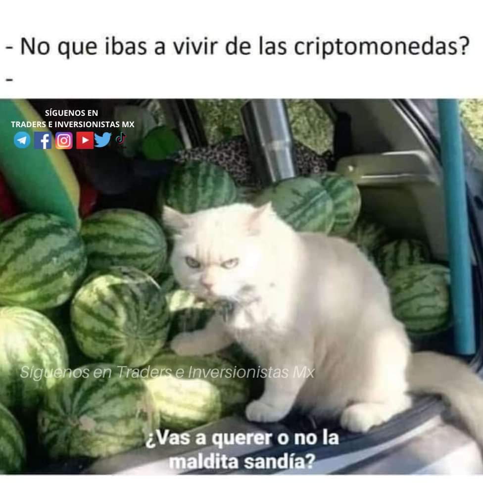 traderseinvermx's tweet photo. 🥴😂😂 https://t.co/ljKMUudrcE